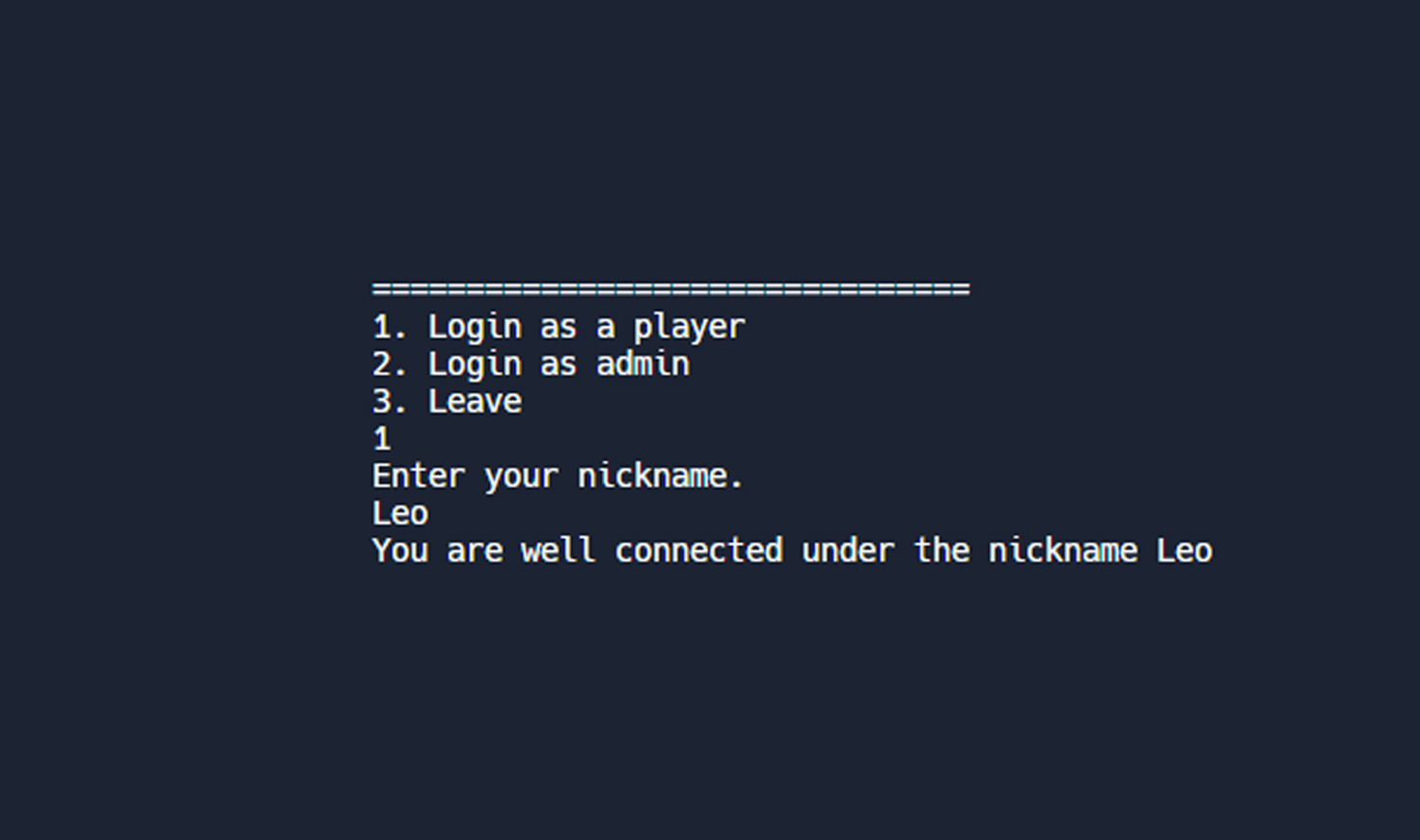 Video Game Platform